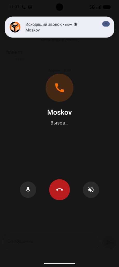 Исходящий голосовой звонок в LR CHAT